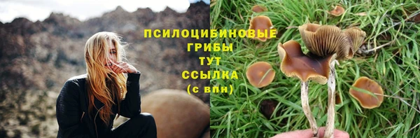 меф Медногорск