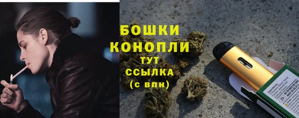 трава Медвежьегорск