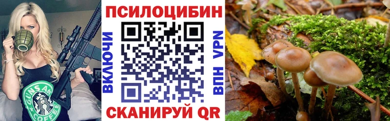 Галлюциногенные грибы Magic Shrooms  Купить закладки  Апрелевка 